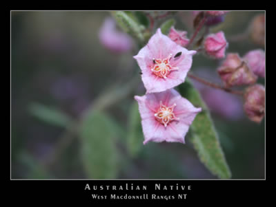 AP0011