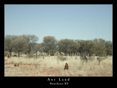 AP0040