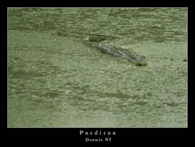 AP0058